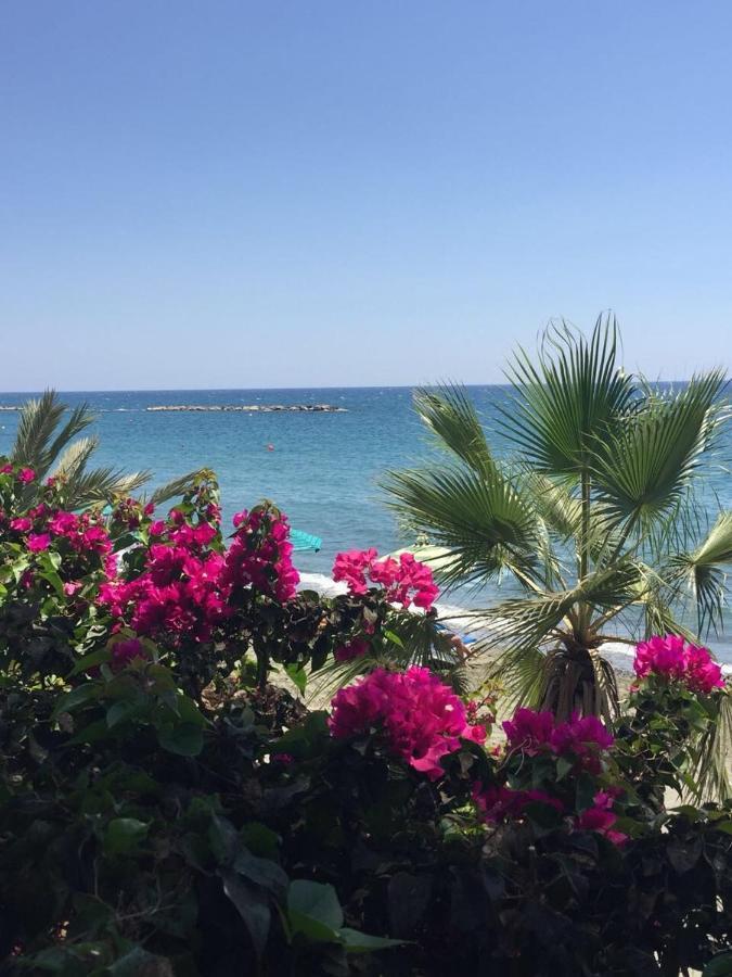 Cozy Coral Bay Studio By The Sea Dış mekan fotoğraf
